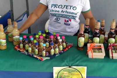 notícia: Emater apoia produção de cachaça de jambu artesanal no município de Santa Bárbara