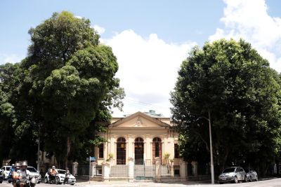 notícia: Preservação de árvores na Santa Casa agrega para o bem-estar na instituição em Belém 