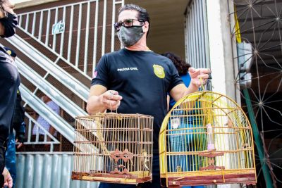 notícia: Polícia Civil vai às ruas investigar maus-tratos a animais na Grande Belém