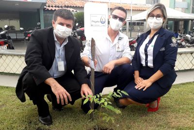 notícia: Ações sustentáveis contribuem para preservação do meio ambiente no Regional do Sudeste do Pará 