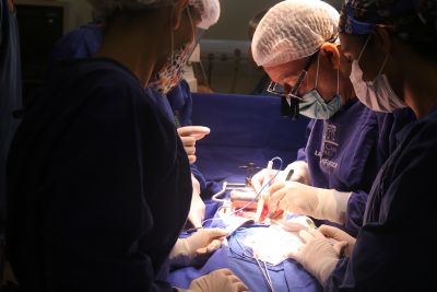 notícia: Seis cirurgias renais pediátricas foram realizadas na Santa Casa do Pará em meio ao Setembro Verde