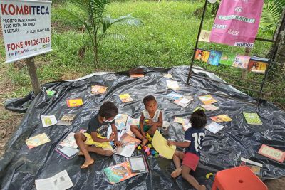 notícia: Ioepa doa 304 livros para escola e Kombiteca em assentamento no município de Santa Bárbara