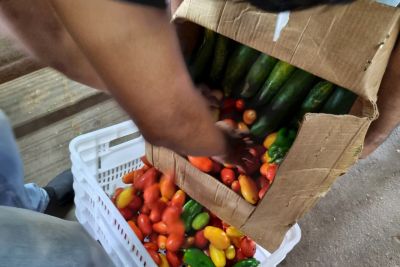 notícia: Lançamento do "Banco de Alimentos" marca o Dia Mundial da Alimentação na Ceasa do Pará