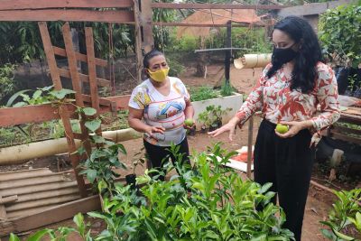 notícia: Emater fortalecerá piscicultura e fruticultura entre famílias do Projeto Casulo, em Xinguara
