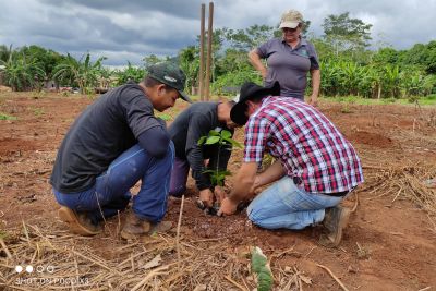 notícia: Ideflor-Bio implanta sistemas agroflorestais e capacita agricultores na APA Triunfo do Xingu