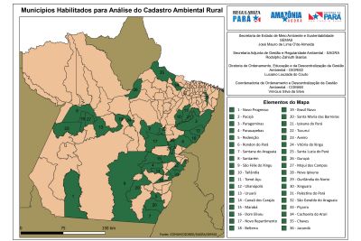 notícia: Pará atinge a meta de habilitar 36 municípios para análise e validação do CAR