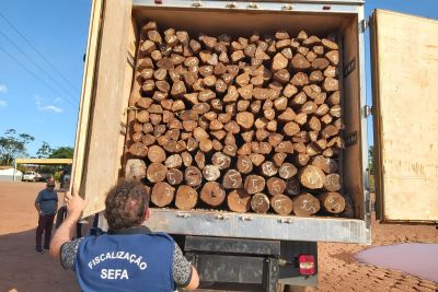 notícia: Sefa apreende 500 estacas de madeira sem nota fiscal em Tucuruí 
