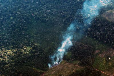 notícia: Em outubro, Pará registra redução de quase 50% dos focos de queimadas em todo o estado