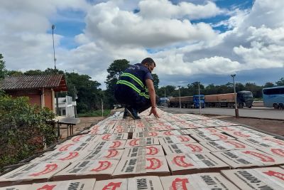 notícia: Servidores da Sefa apreendem 31 mil garrafas de cachaça na Serra do Cachimbo 