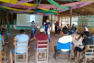 notícia: Adepará promove capacitação para produtores de pimenta-do-reino em Oeiras do Pará
