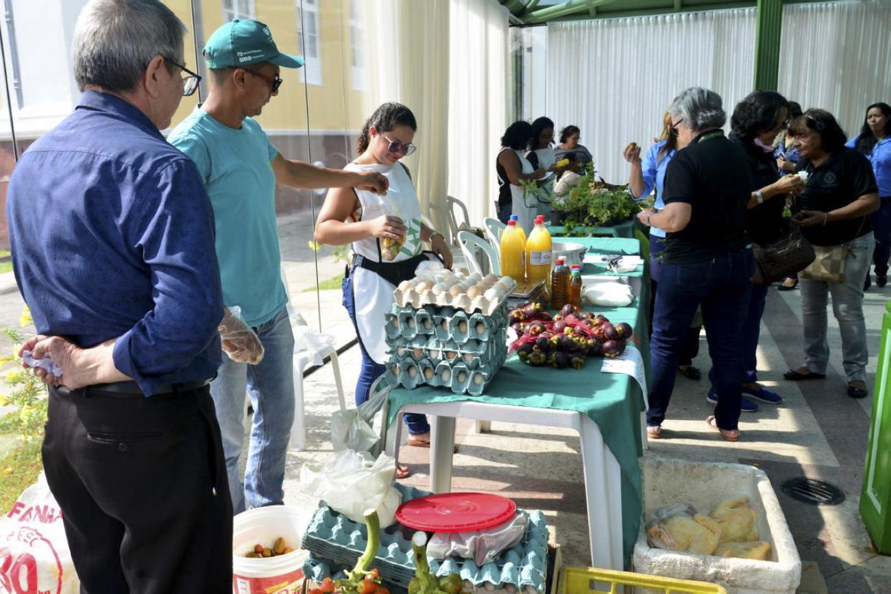 Agricultores luminenses levam produtos para expor na FEMAF