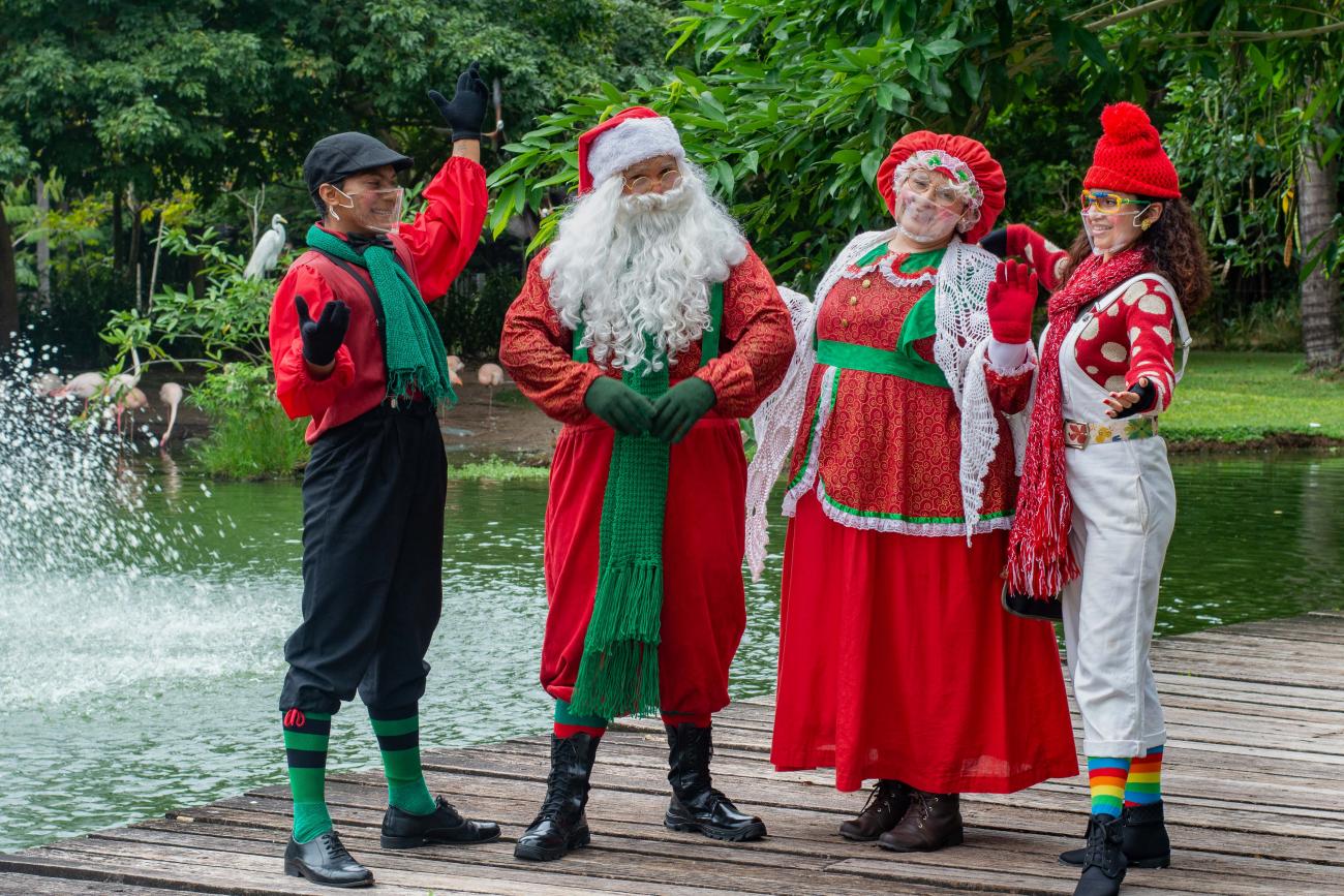 Conheça a programação completa do Natal dos Sonhos de Parauapebas