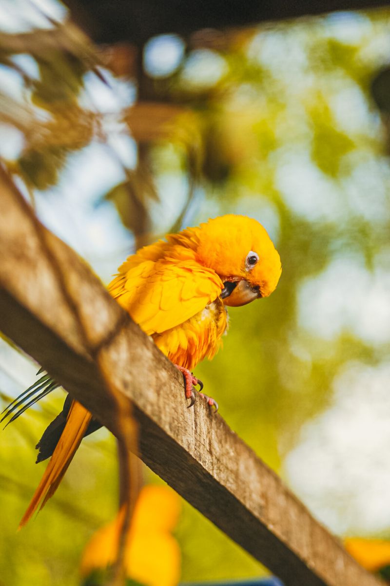  <div class='credito_fotos'>Foto: Thalmus Gama / Ag. Pará   |   <a href='/midias/2022/originais/11643_0b86d490-5e4b-bc83-7ba9-f435a00bae2f.jpg' download><i class='fa-solid fa-download'></i> Download</a></div>