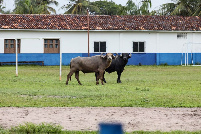  <div class='credito_fotos'>Foto: Marcelo Seabra / Ag. Pará   |   <a href='/midias/2022/originais/12767_2d20006c-7dc0-7d03-b34b-d9bdaff0b197.jpg' download><i class='fa-solid fa-download'></i> Download</a></div>