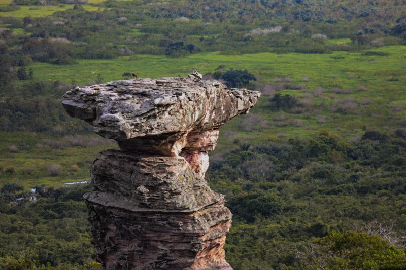  <div class='credito_fotos'>Foto: Pedro Guerreiro / Ag. Pará   |   <a href='/midias/2022/originais/12926_76f25d6b-110a-7f3d-006f-cbe9208c64cf.jpg' download><i class='fa-solid fa-download'></i> Download</a></div>