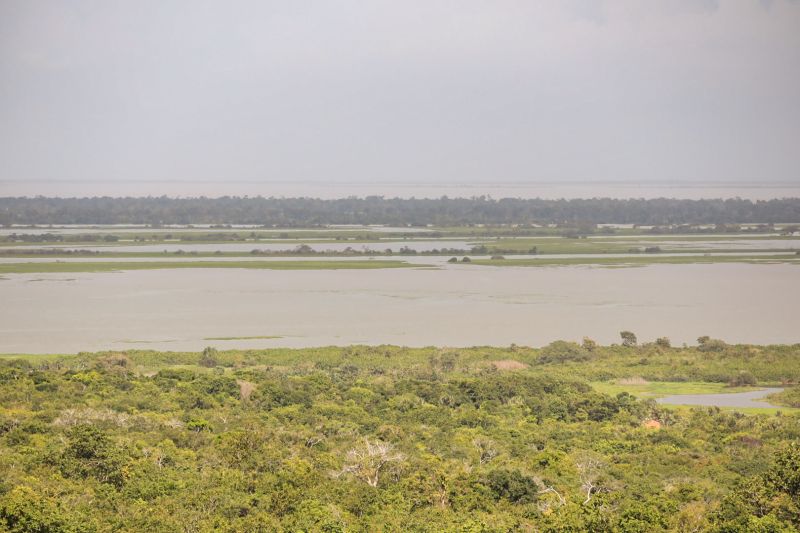  <div class='credito_fotos'>Foto: Pedro Guerreiro / Ag. Pará   |   <a href='/midias/2022/originais/12926_f73ed03d-c437-0b86-d508-a7b53be4895d.jpg' download><i class='fa-solid fa-download'></i> Download</a></div>