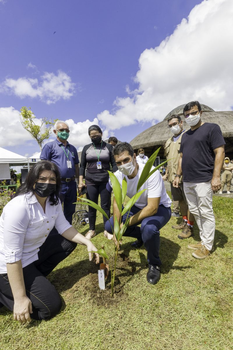 Governo do Pará reitera impacto das ações ambientais no Dia Internacional das Florestas