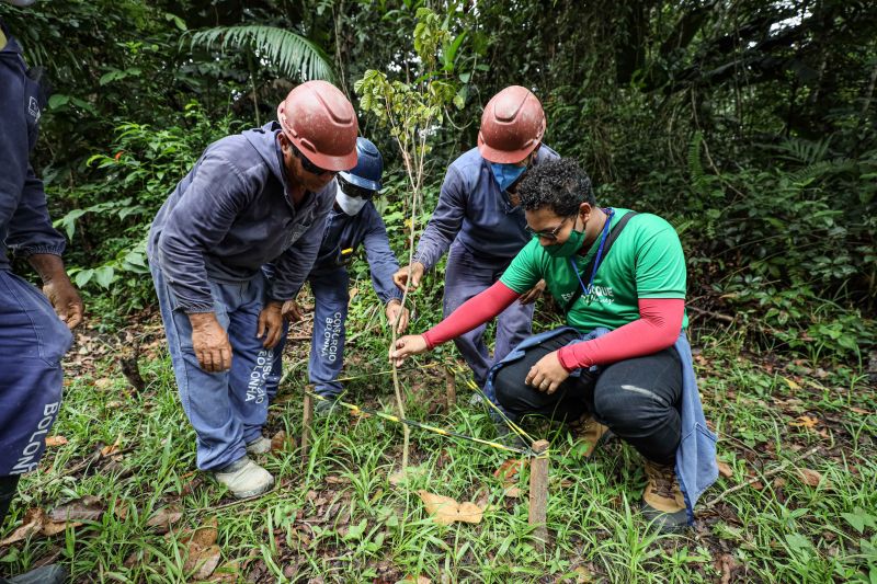  <div class='credito_fotos'>Foto: Marcelo Seabra / Ag. Pará   |   <a href='/midias/2022/originais/13008_23ff94c7-5189-55ed-d8d8-177b919bfebe.jpg' download><i class='fa-solid fa-download'></i> Download</a></div>