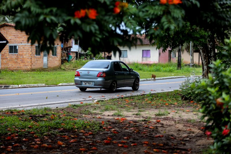  <div class='credito_fotos'>Foto: Rodrigo Pinheiro / Ag.Pará   |   <a href='/midias/2022/originais/14324_4a61c527-af95-0352-300d-f370207325ba.jpg' download><i class='fa-solid fa-download'></i> Download</a></div>