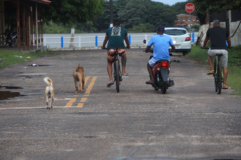  <div class='credito_fotos'>Foto: Pedro Guerreiro / Ag. Pará   |   <a href='/midias/2022/originais/14388_c486afa4-d276-807a-18a9-63b76dcf6e44.jpg' download><i class='fa-solid fa-download'></i> Download</a></div>