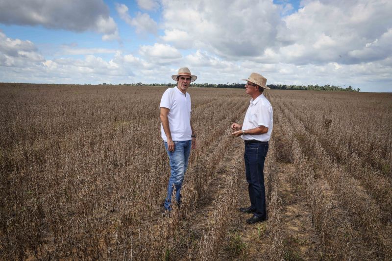  <div class='credito_fotos'>Foto: Marco Santos / Ag. Pará   |   <a href='/midias/2022/originais/14394_0662fac2-1f2b-5478-b6a9-4263fd2ffe2c.jpg' download><i class='fa-solid fa-download'></i> Download</a></div>