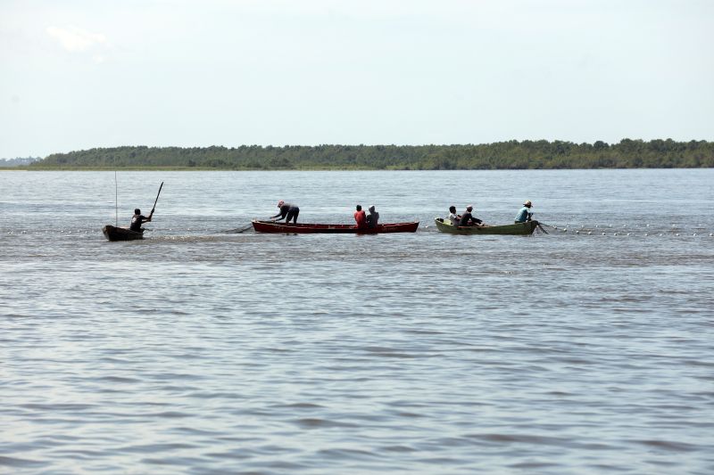  <div class='credito_fotos'>Foto: Marcelo Seabra / Ag. Pará   |   <a href='/midias/2022/originais/14413_fb1a142d-5bbc-2378-eda5-03a04a0916bb.jpg' download><i class='fa-solid fa-download'></i> Download</a></div>