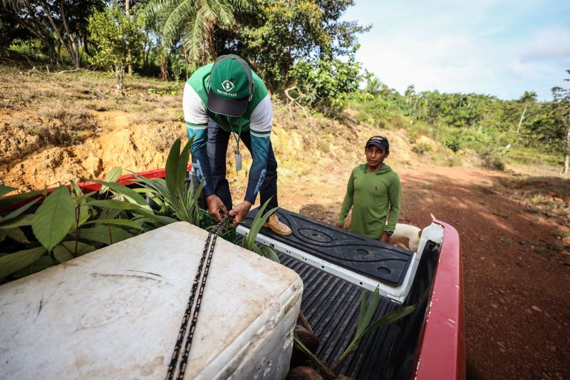  <div class='credito_fotos'>Foto: Rodrigo Pinheiro / Ag.Pará   |   <a href='/midias/2022/originais/14548_017f2828-ade7-b3c9-467c-d60dbc028f41.jpg' download><i class='fa-solid fa-download'></i> Download</a></div>