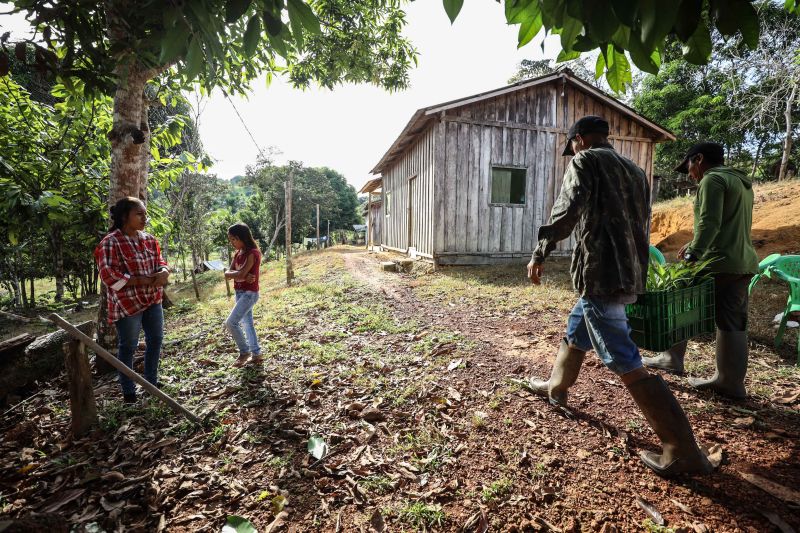  <div class='credito_fotos'>Foto: Rodrigo Pinheiro / Ag.Pará   |   <a href='/midias/2022/originais/14548_118f42c1-881c-0d1d-3ef1-d28cd5e806ac.jpg' download><i class='fa-solid fa-download'></i> Download</a></div>