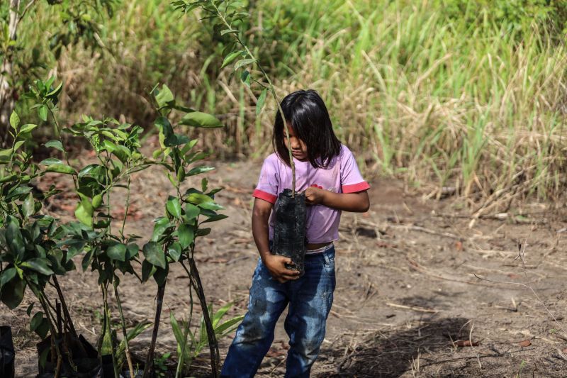  <div class='credito_fotos'>Foto: Rodrigo Pinheiro / Ag.Pará   |   <a href='/midias/2022/originais/14548_c1c3059b-69d4-fd9e-b38d-35834f9d82b2.jpg' download><i class='fa-solid fa-download'></i> Download</a></div>