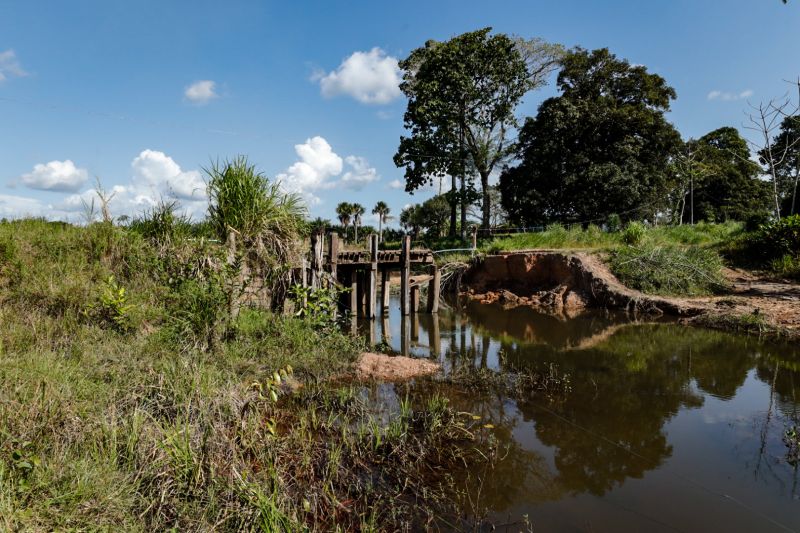  <div class='credito_fotos'>Foto: Alex Ribeiro / Ag. Pará   |   <a href='/midias/2022/originais/14633_c172bb50-acd4-b157-9d2d-048f851d5e88.jpg' download><i class='fa-solid fa-download'></i> Download</a></div>