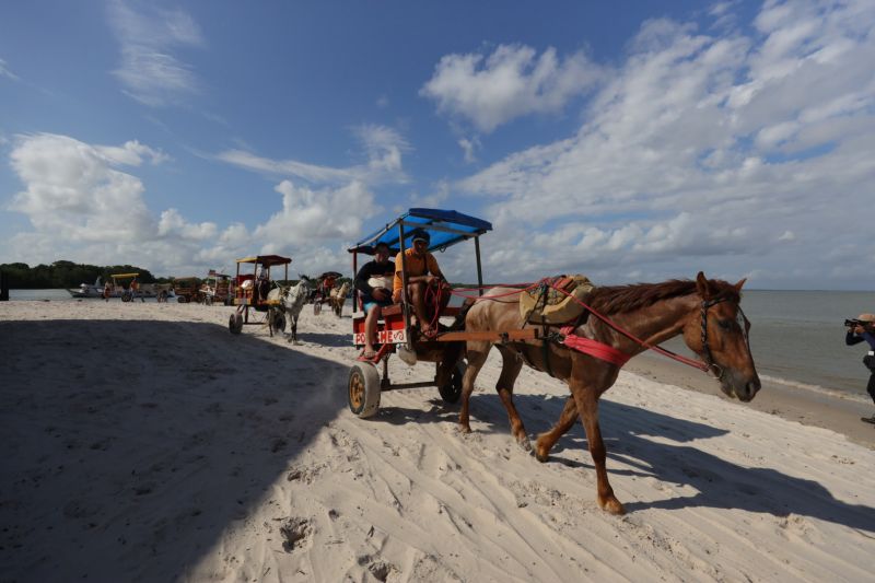  <div class='credito_fotos'>Foto: David Alves / Ag.Pará   |   <a href='/midias/2022/originais/14796_b96d01ee-dc7e-a113-0546-ef96f59bfd7d.jpg' download><i class='fa-solid fa-download'></i> Download</a></div>