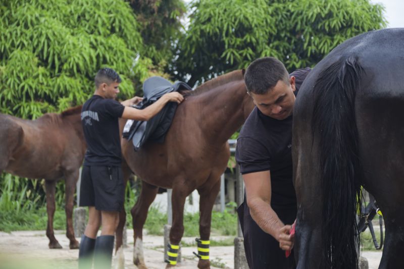 Cavalaria PM <div class='credito_fotos'>Foto: Pedro Guerreiro / Ag. Pará   |   <a href='/midias/2022/originais/14852_0c09f486-a8a3-1ef0-2b1e-4b927c074fe7.jpg' download><i class='fa-solid fa-download'></i> Download</a></div>