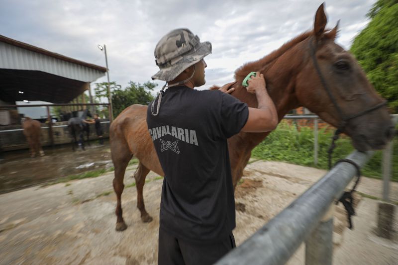 Cavalaria PM <div class='credito_fotos'>Foto: Pedro Guerreiro / Ag. Pará   |   <a href='/midias/2022/originais/14852_2af25fec-913a-d380-de77-c7030a6b4659.jpg' download><i class='fa-solid fa-download'></i> Download</a></div>