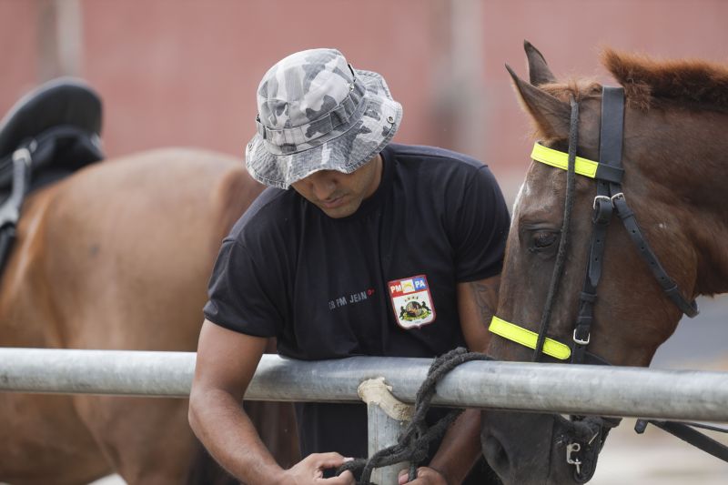 Cavalaria PM <div class='credito_fotos'>Foto: Pedro Guerreiro / Ag. Pará   |   <a href='/midias/2022/originais/14852_2d23e90e-9561-8966-c5f2-995be2c2bd3f.jpg' download><i class='fa-solid fa-download'></i> Download</a></div>