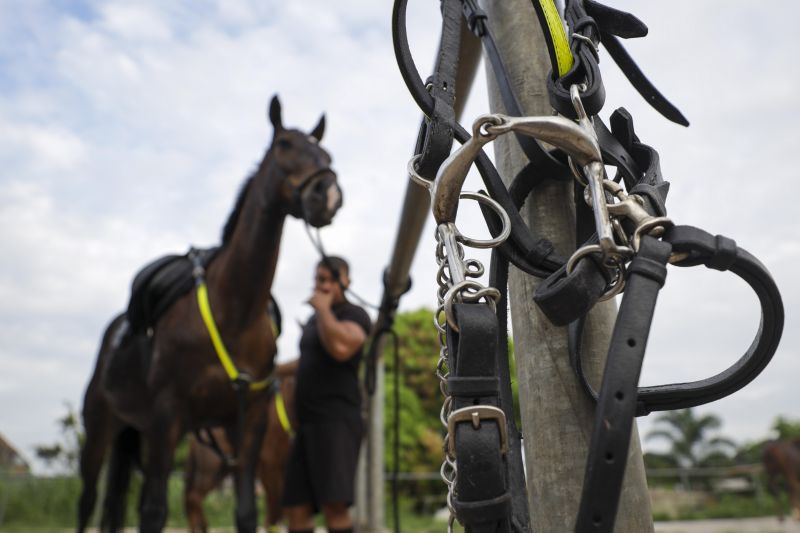 Cavalaria PM <div class='credito_fotos'>Foto: Pedro Guerreiro / Ag. Pará   |   <a href='/midias/2022/originais/14852_60128813-5490-e7cf-5f8b-deb0d18b19d5.jpg' download><i class='fa-solid fa-download'></i> Download</a></div>