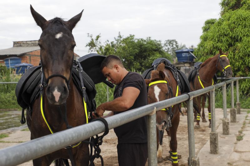 Cavalaria PM <div class='credito_fotos'>Foto: Pedro Guerreiro / Ag. Pará   |   <a href='/midias/2022/originais/14852_dba34337-159f-a2b0-5997-ad5329f21f19.jpg' download><i class='fa-solid fa-download'></i> Download</a></div>