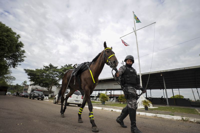 Cavalaria PM <div class='credito_fotos'>Foto: Pedro Guerreiro / Ag. Pará   |   <a href='/midias/2022/originais/14852_ea5593e6-d228-a792-b67d-f56f31712c07.jpg' download><i class='fa-solid fa-download'></i> Download</a></div>