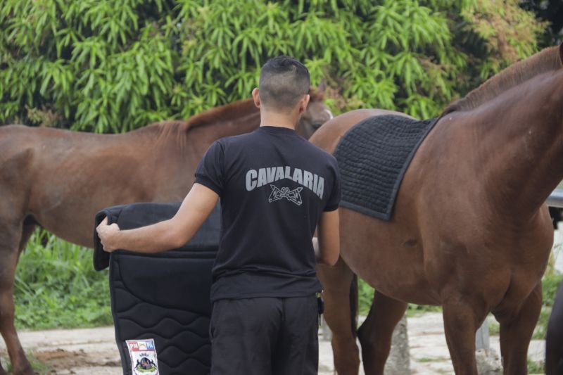 Cavalaria PM <div class='credito_fotos'>Foto: Pedro Guerreiro / Ag. Pará   |   <a href='/midias/2022/originais/14852_fab8b7c2-fdf2-979d-82e8-65e057be5a33.jpg' download><i class='fa-solid fa-download'></i> Download</a></div>