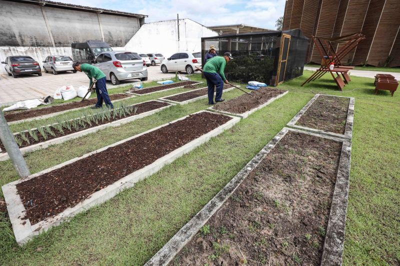  <div class='credito_fotos'>Foto: Marcelo Seabra / Ag. Pará   |   <a href='/midias/2022/originais/14858_4e48c8c3-c18f-71ac-d88c-fdb9f736cd66.jpg' download><i class='fa-solid fa-download'></i> Download</a></div>