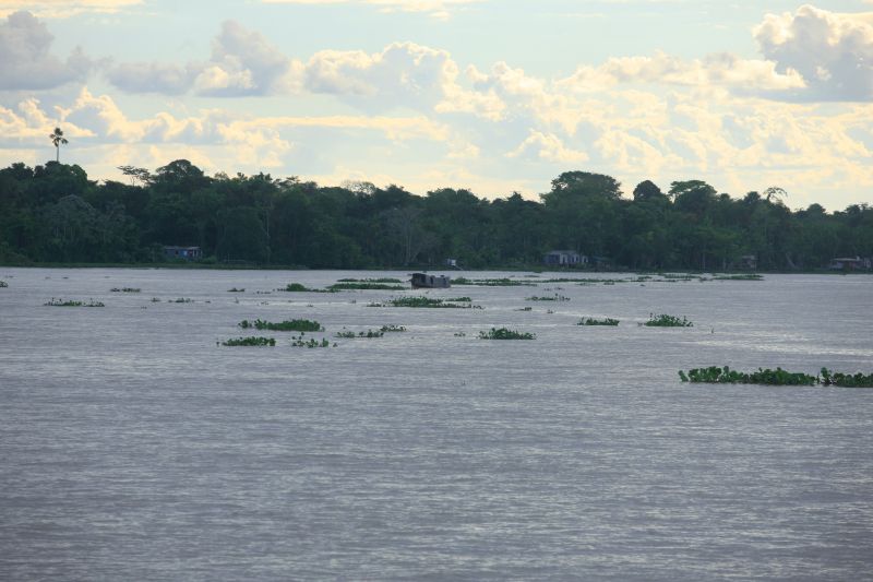  <div class='credito_fotos'>Foto: Marco Nascimento / AG. Pará   |   <a href='/midias/2022/originais/14860_88275c4e-c51f-e888-c1ab-3eb346b5f5e4.jpg' download><i class='fa-solid fa-download'></i> Download</a></div>