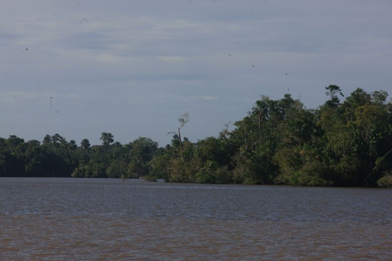  <div class='credito_fotos'>Foto: Marco Nascimento / AG. Pará   |   <a href='/midias/2022/originais/14860_ee2d34da-8427-65bb-5fd9-d961239979f2.jpg' download><i class='fa-solid fa-download'></i> Download</a></div>
