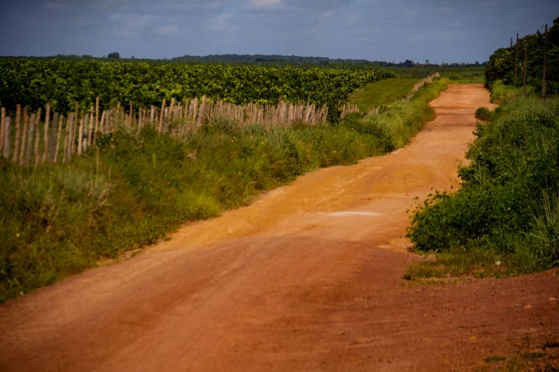  <div class='credito_fotos'>Foto: Pedro Guerreiro / Ag. Pará   |   <a href='/midias/2022/originais/14885_69844e3e-5df4-601a-faf8-ef4421c0e762.jpg' download><i class='fa-solid fa-download'></i> Download</a></div>