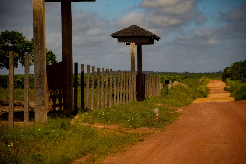  <div class='credito_fotos'>Foto: Pedro Guerreiro / Ag. Pará   |   <a href='/midias/2022/originais/14885_6fee8772-7558-593f-bec0-0c59d04a0559.jpg' download><i class='fa-solid fa-download'></i> Download</a></div>