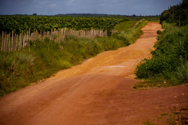  <div class='credito_fotos'>Foto: Pedro Guerreiro / Ag. Pará   |   <a href='/midias/2022/originais/14885_e5130029-c455-b8d1-099a-a00f3f955f67.jpg' download><i class='fa-solid fa-download'></i> Download</a></div>