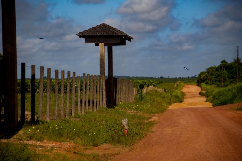  <div class='credito_fotos'>Foto: Pedro Guerreiro / Ag. Pará   |   <a href='/midias/2022/originais/14885_e7699cf4-94f4-7ef8-b923-847a7ffea1b4.jpg' download><i class='fa-solid fa-download'></i> Download</a></div>