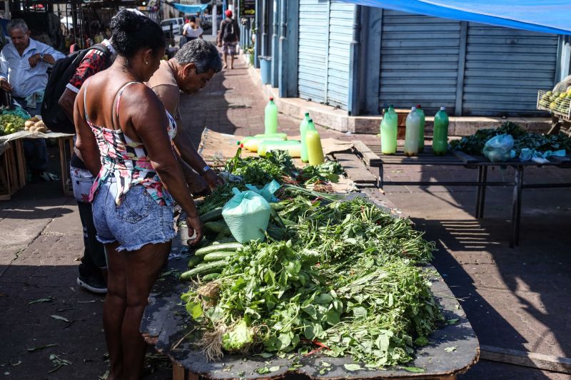  <div class='credito_fotos'>Foto: Marcelo Seabra / Ag. Pará   |   <a href='/midias/2022/originais/14898_fa0c3ade-cc6a-fcaa-6785-26f65d62911b.jpg' download><i class='fa-solid fa-download'></i> Download</a></div>