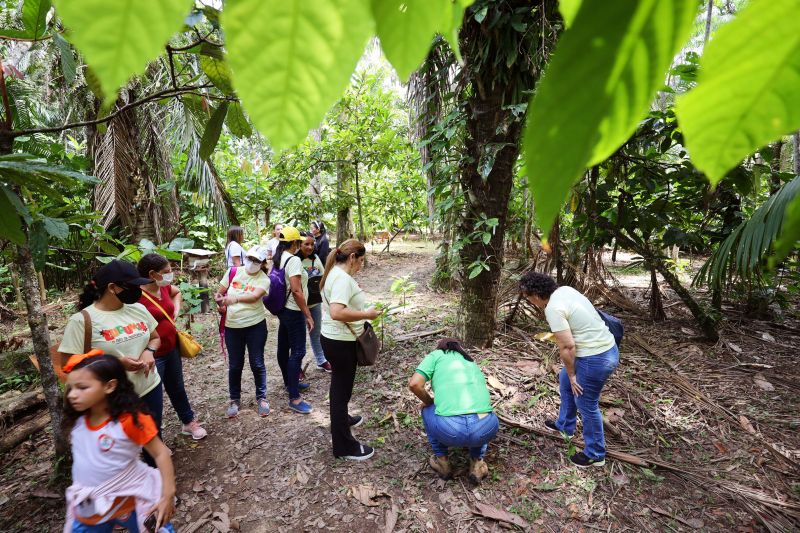 Crianças em Tratamento contra o Câncer  visitam Fabrica de Chocolate no Combu - Fotos Bruno Cecim - Ag.Pará <div class='credito_fotos'>Foto: Bruno Cecim / Ag.Pará   |   <a href='/midias/2022/originais/15134_1fd8629f-71d0-24ea-4b8f-6ddc949fcee1.jpg' download><i class='fa-solid fa-download'></i> Download</a></div>