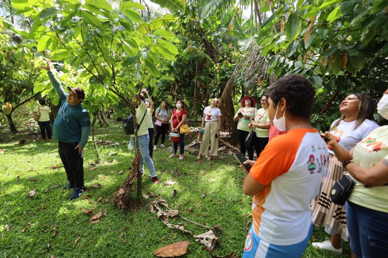 Crianças em Tratamento contra o Câncer  visitam Fabrica de Chocolate no Combu - Fotos Bruno Cecim - Ag.Pará <div class='credito_fotos'>Foto: Bruno Cecim / Ag.Pará   |   <a href='/midias/2022/originais/15134_c0120b7c-0bc1-07a7-d298-94f95401a122.jpg' download><i class='fa-solid fa-download'></i> Download</a></div>