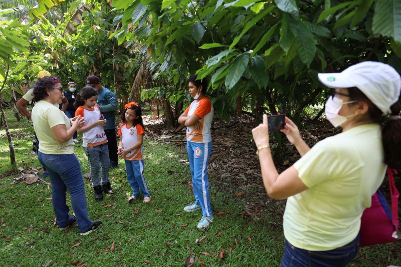 Crianças em Tratamento contra o Câncer  visitam Fabrica de Chocolate no Combu - Fotos Bruno Cecim - Ag.Pará <div class='credito_fotos'>Foto: Bruno Cecim / Ag.Pará   |   <a href='/midias/2022/originais/15134_e9991eb5-22ec-a6b9-9e89-cec99156253b.jpg' download><i class='fa-solid fa-download'></i> Download</a></div>