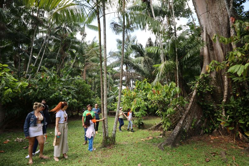 Crianças em Tratamento contra o Câncer  visitam Fabrica de Chocolate no Combu - Fotos Bruno Cecim - Ag.Pará <div class='credito_fotos'>Foto: Bruno Cecim / Ag.Pará   |   <a href='/midias/2022/originais/15134_eed53524-83b5-f82a-0580-c74d06c57dfb.jpg' download><i class='fa-solid fa-download'></i> Download</a></div>